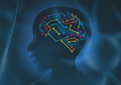 Data Science for Deep Learning Evenings